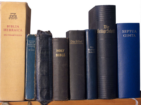 a row of Bibles in various languages